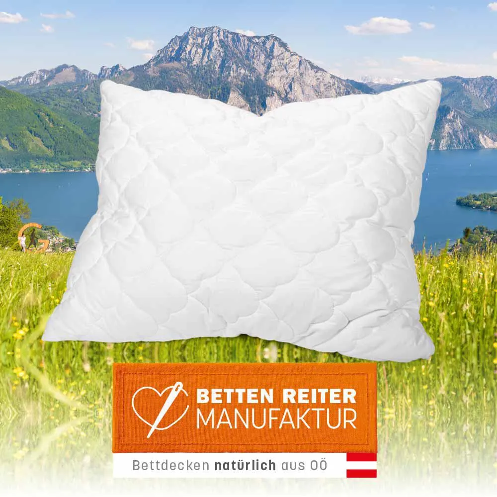 Reiter Polster Microban