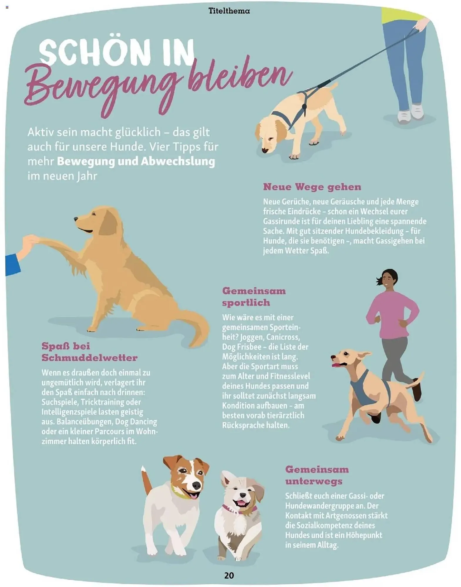 Fressnapf Flugblatt von 1. Jänner bis 28. Februar 2026 - Flugblätt seite  20