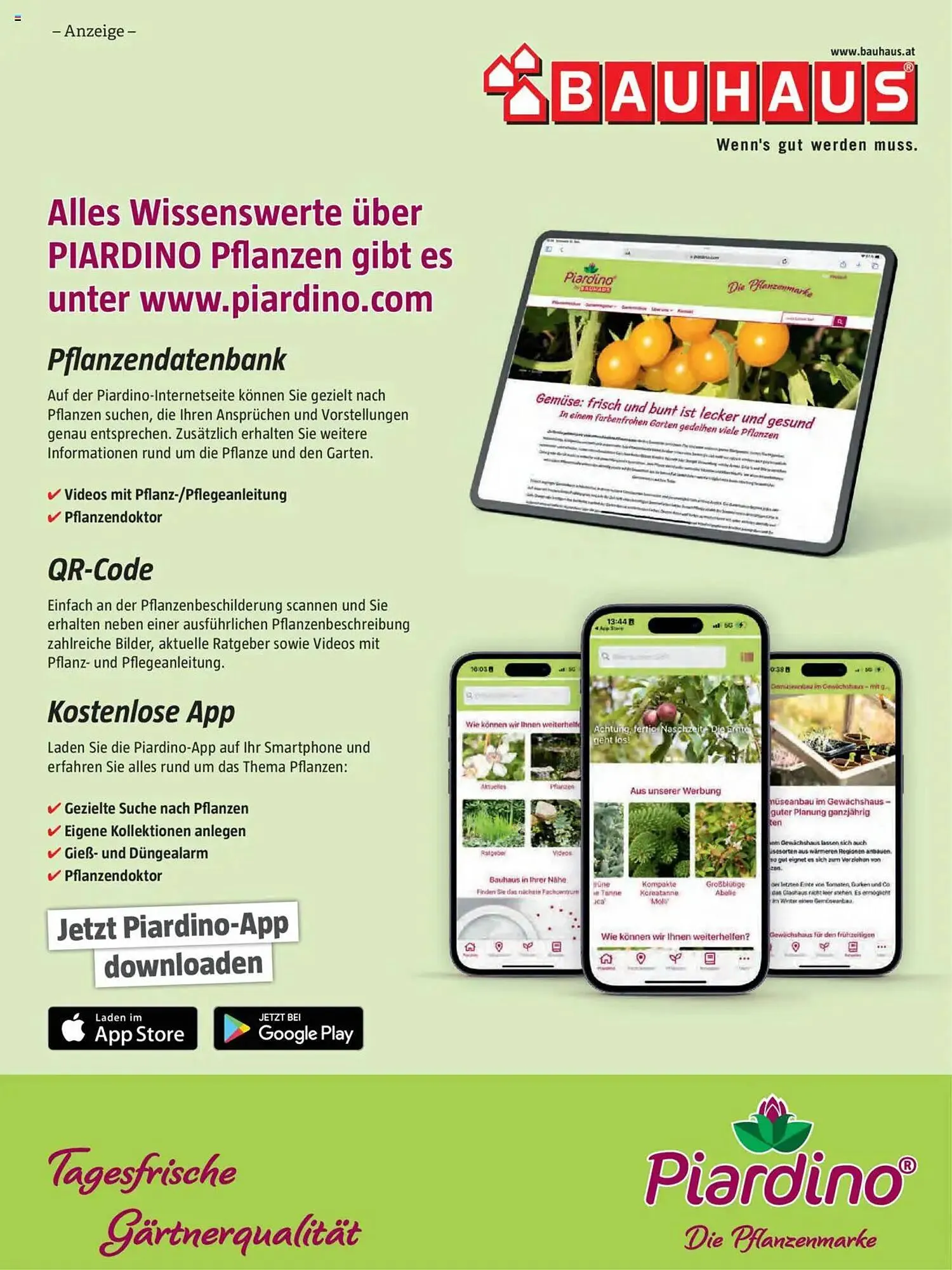 Bauhaus Flugblatt von 1. Oktober bis 31. März 2026 - Flugblätt seite  37