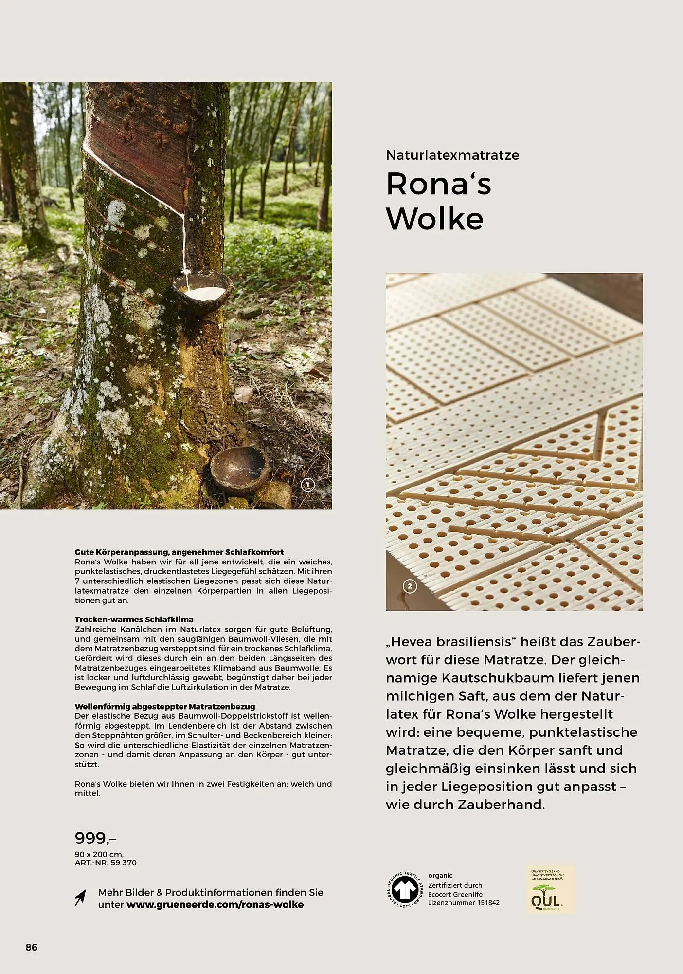 Grüne Erde Flugblatt von 27. September bis 28. Dezember 2024 - Flugblätt seite  84