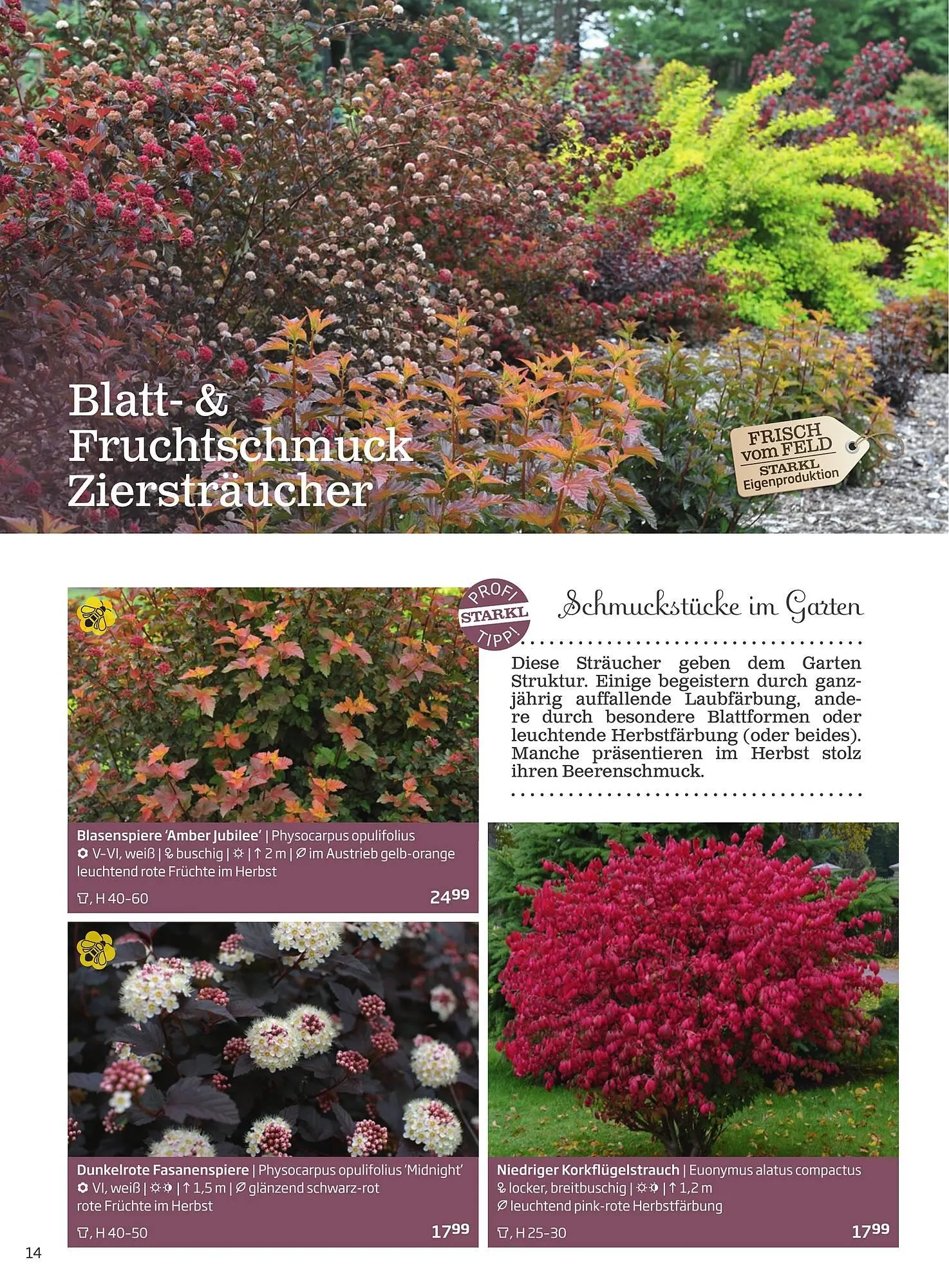 Starkl Flugblatt von 1. Jänner bis 31. Dezember 2023 - Flugblätt seite 14