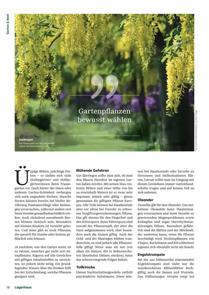 Nr. 1 - Lagerhaus Magazin 2025 von 28. Jänner bis 11. Februar 2025 - Flugblätt seite  16