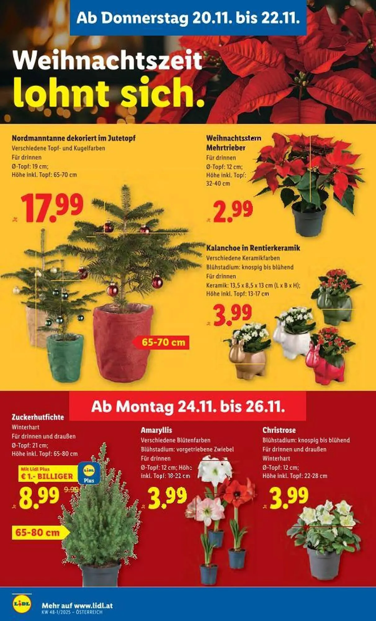 Lidl Flugblatt von 20. November bis 26. November 2025 - Flugblätt seite  27