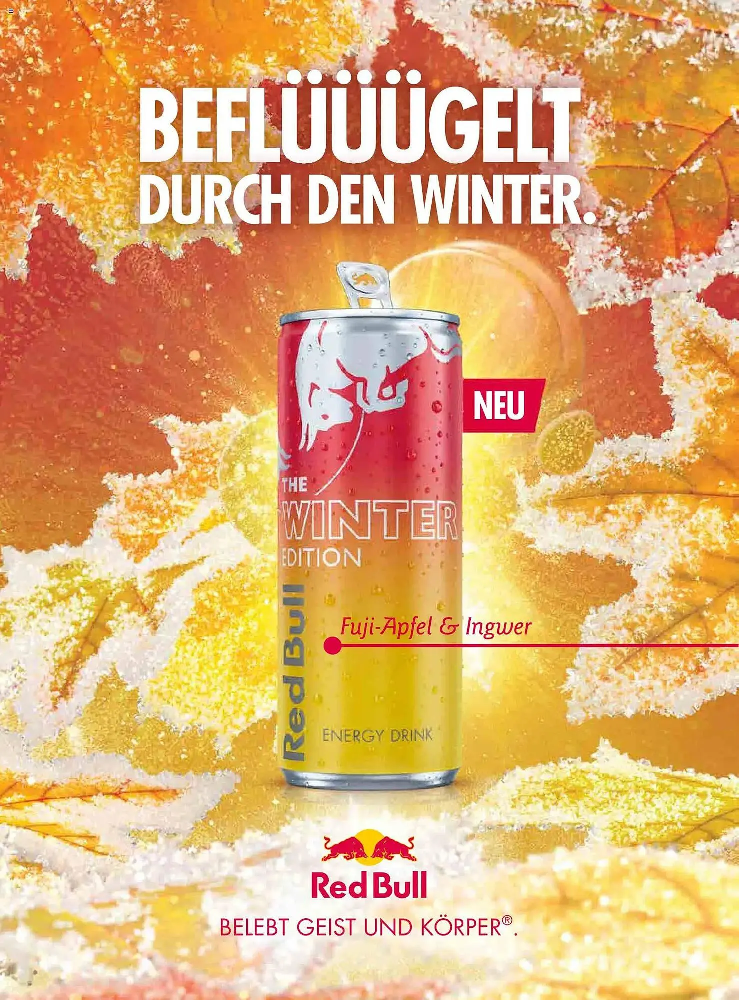 Dm Flugblatt von 1. November bis 30. November 2025 - Flugblätt seite  80