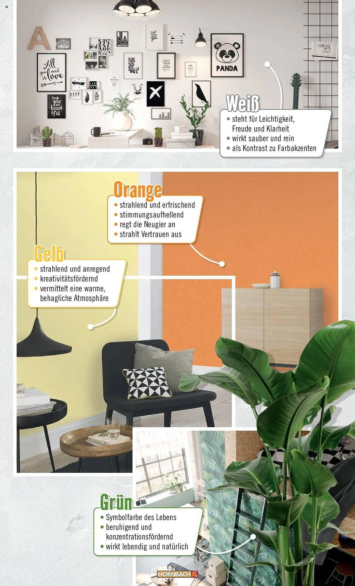 Hornbach Flugblatt von 12. Jänner bis 16. Februar 2024 - Flugblätt seite  5