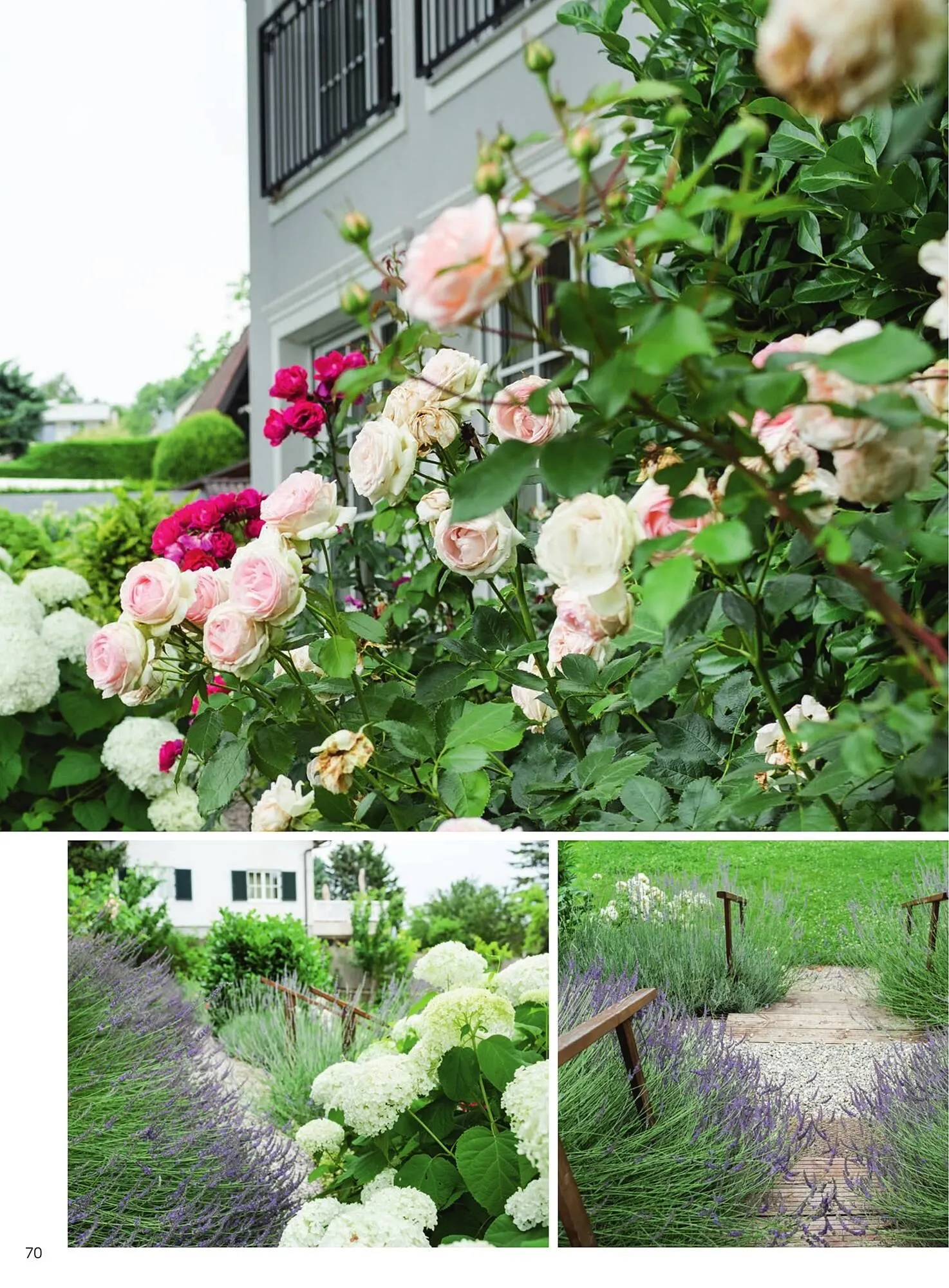 Starkl Flugblatt von 6. Juni bis 31. Dezember 2025 - Flugblätt seite 70