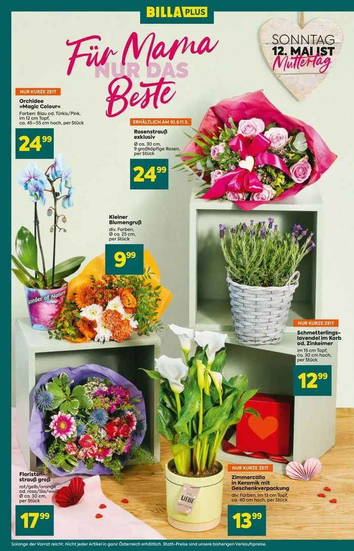 -25% RABATT-PICKERL IM INNENTEIL von 8. Mai bis 22. Mai 2024 - Flugblätt seite  8