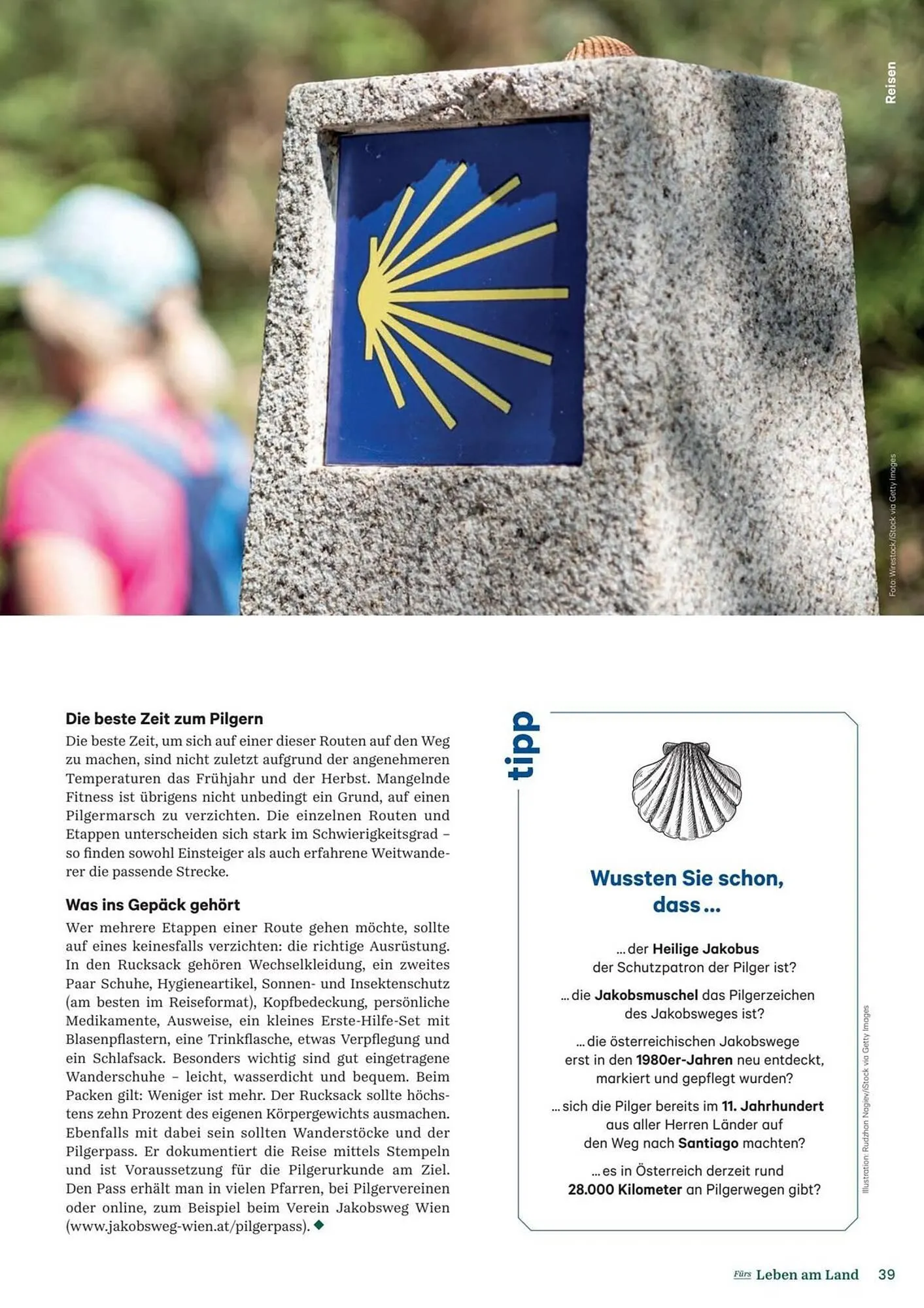 Lagerhaus Flugblatt von 1. Februar bis 28. Februar 2026 - Flugblätt seite 39