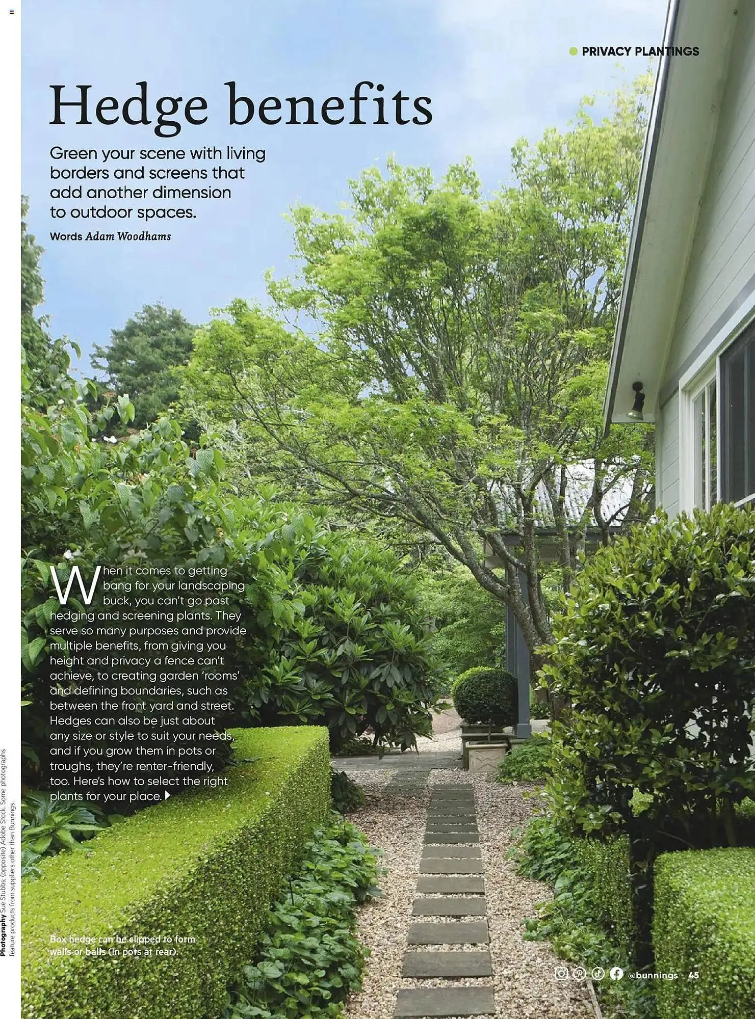 Bunnings catalogue - Catalogue valid from 28 February to 31 March 2026 - page 45