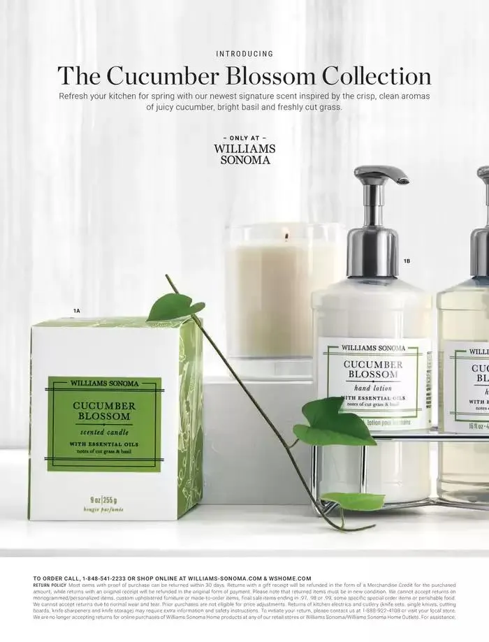 Spring 2025 - Catalogue valid from 12 December to 28 February 2025 - page 58