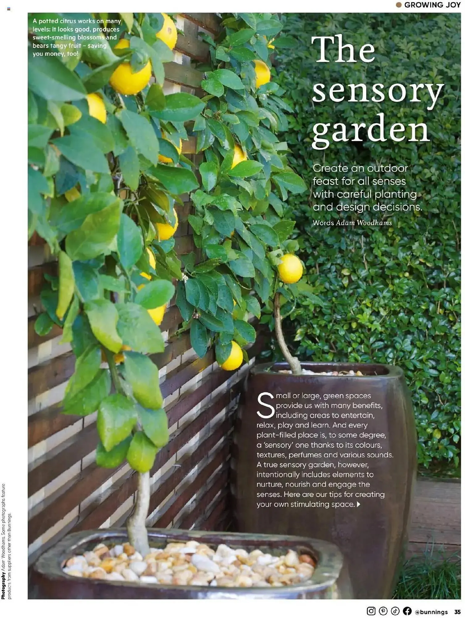 Bunnings catalogue - Catalogue valid from 1 April to 30 April 2025 - page 35