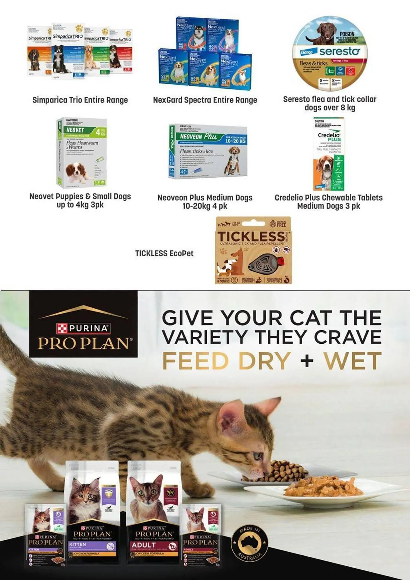 Pets Domain catalogue - Catalogue valid from 2 October to 31 December 2025 - page 4