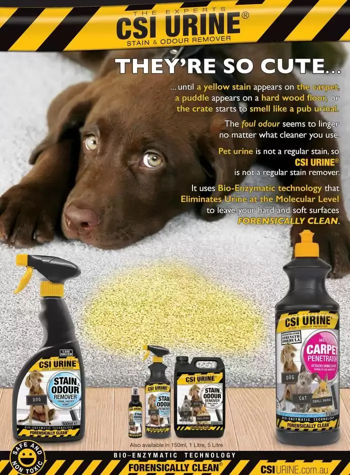 Dog Catalogue 2025 - Catalogue valid from 3 March to 31 December 2025 - page 192