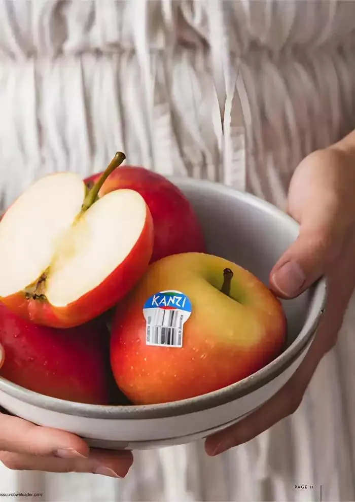 Autumn Issue - Catalogue valid from 10 March to 30 April 2025 - page 11