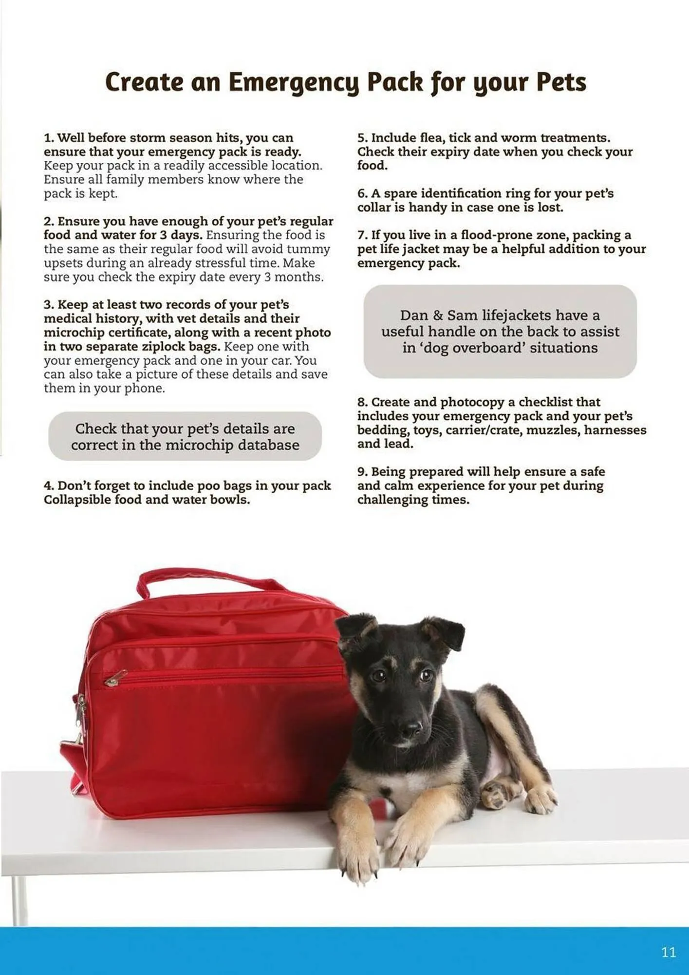 Pets Domain catalogue - Catalogue valid from 2 October to 31 December 2025 - page 11