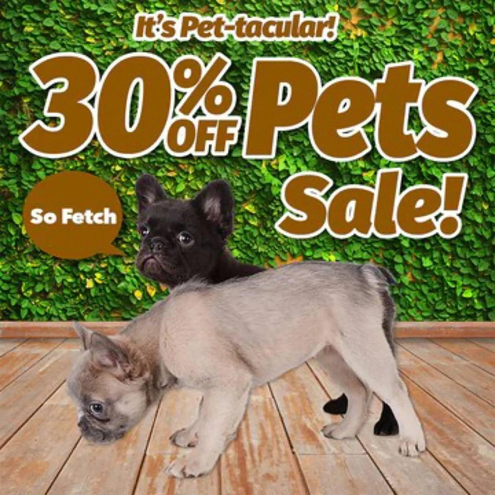 Cheap as Chips catalogue - Catalogue valid from 27 January to 3 February 2026 - page 17