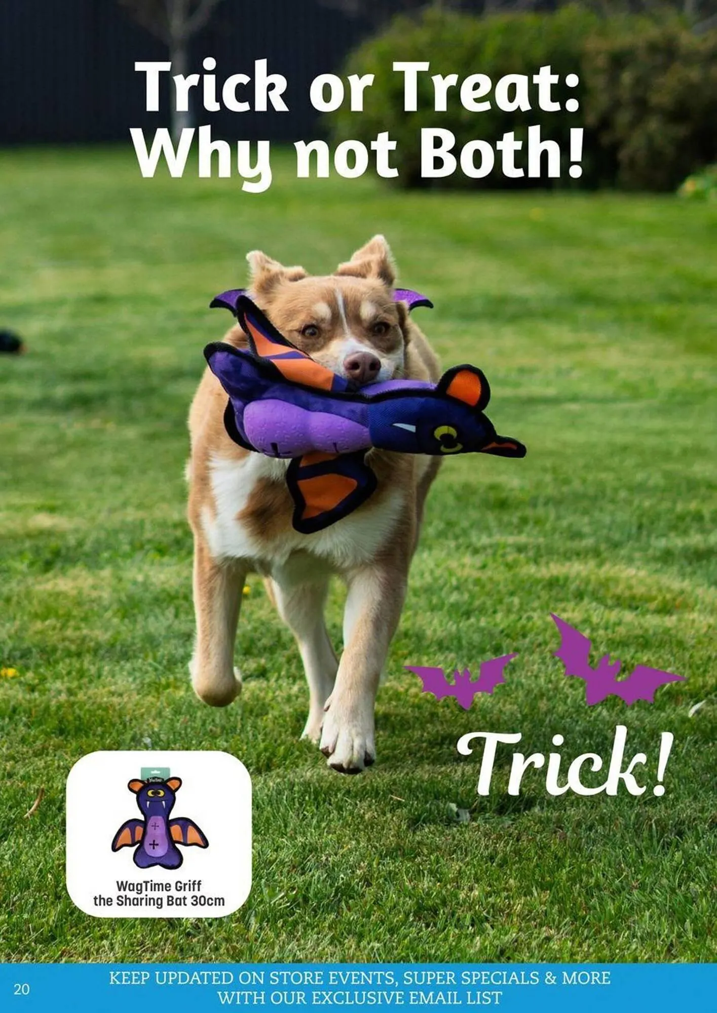 Pets Domain catalogue - Catalogue valid from 2 October to 31 December 2025 - page 20