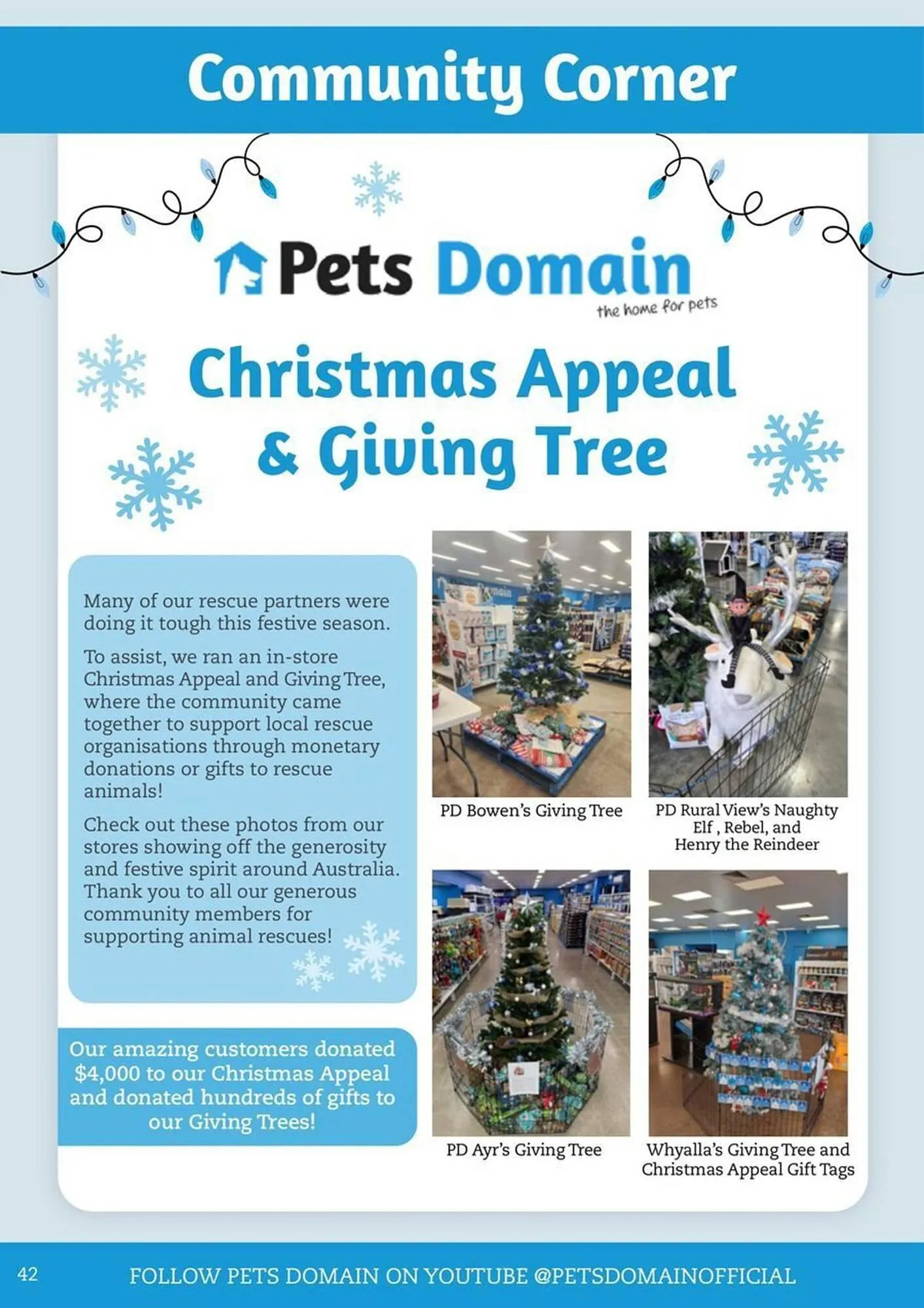 Pets Domain catalogue - Catalogue valid from 1 January to 31 March 2026 - page 42