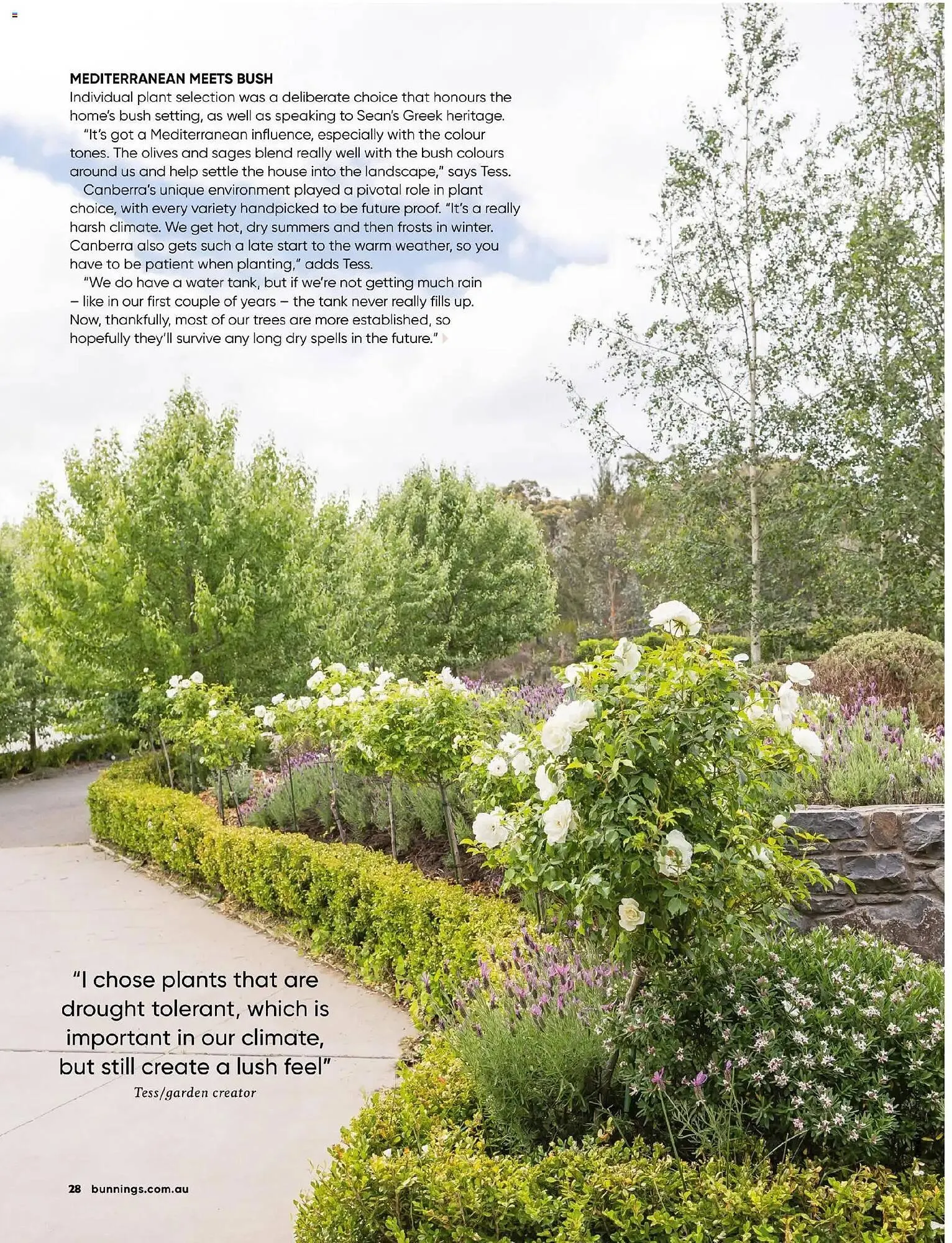 Bunnings catalogue - Catalogue valid from 31 October to 30 November 2025 - page 28