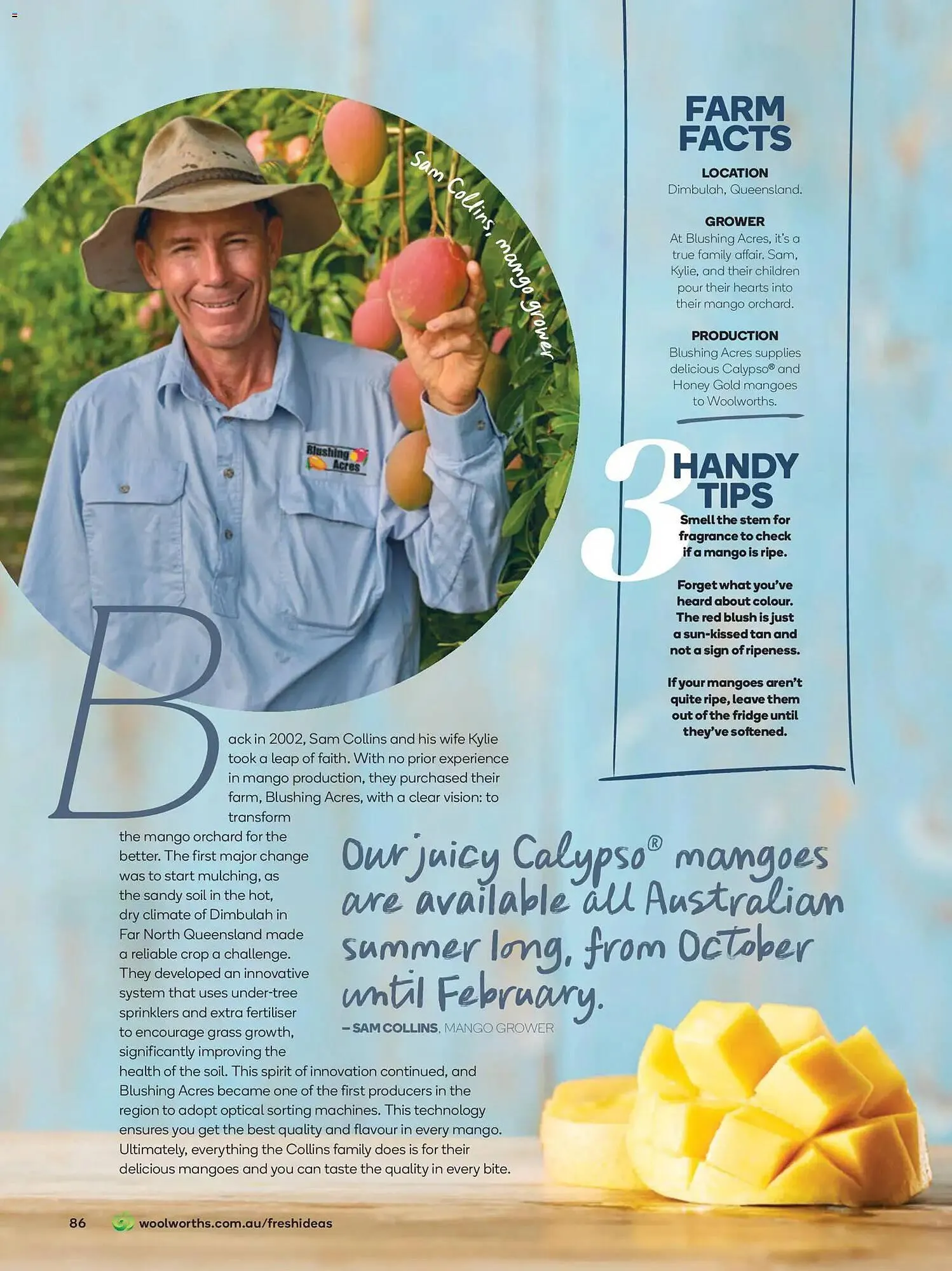 Woolworths catalogue - Catalogue valid from 31 October to 30 November 2025 - page 86