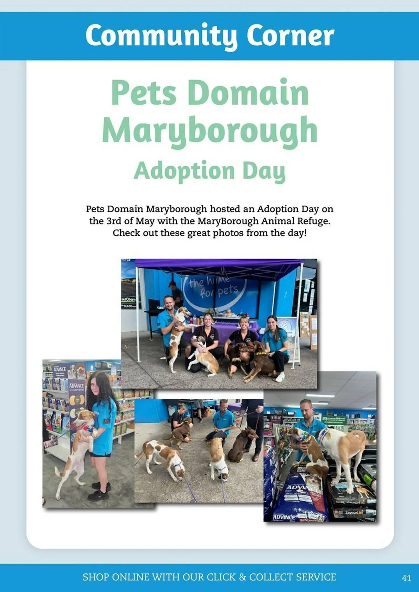 Pets Domain catalogue - Catalogue valid from 1 July to 30 September 2025 - page 41