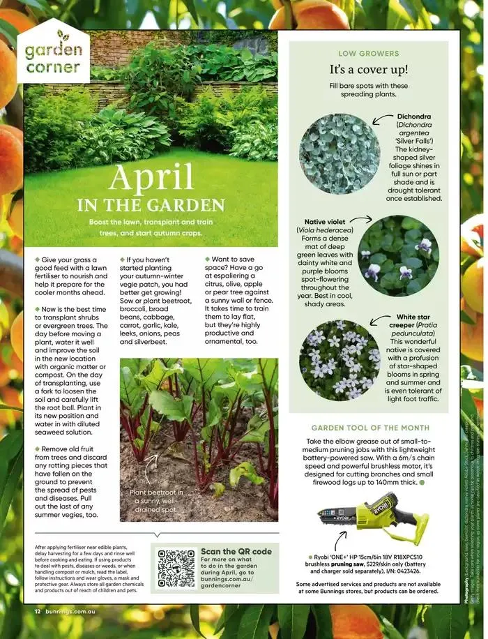 Bunnings Magazine April 2025 - Catalogue valid from 1 April to 30 April 2025 - page 12