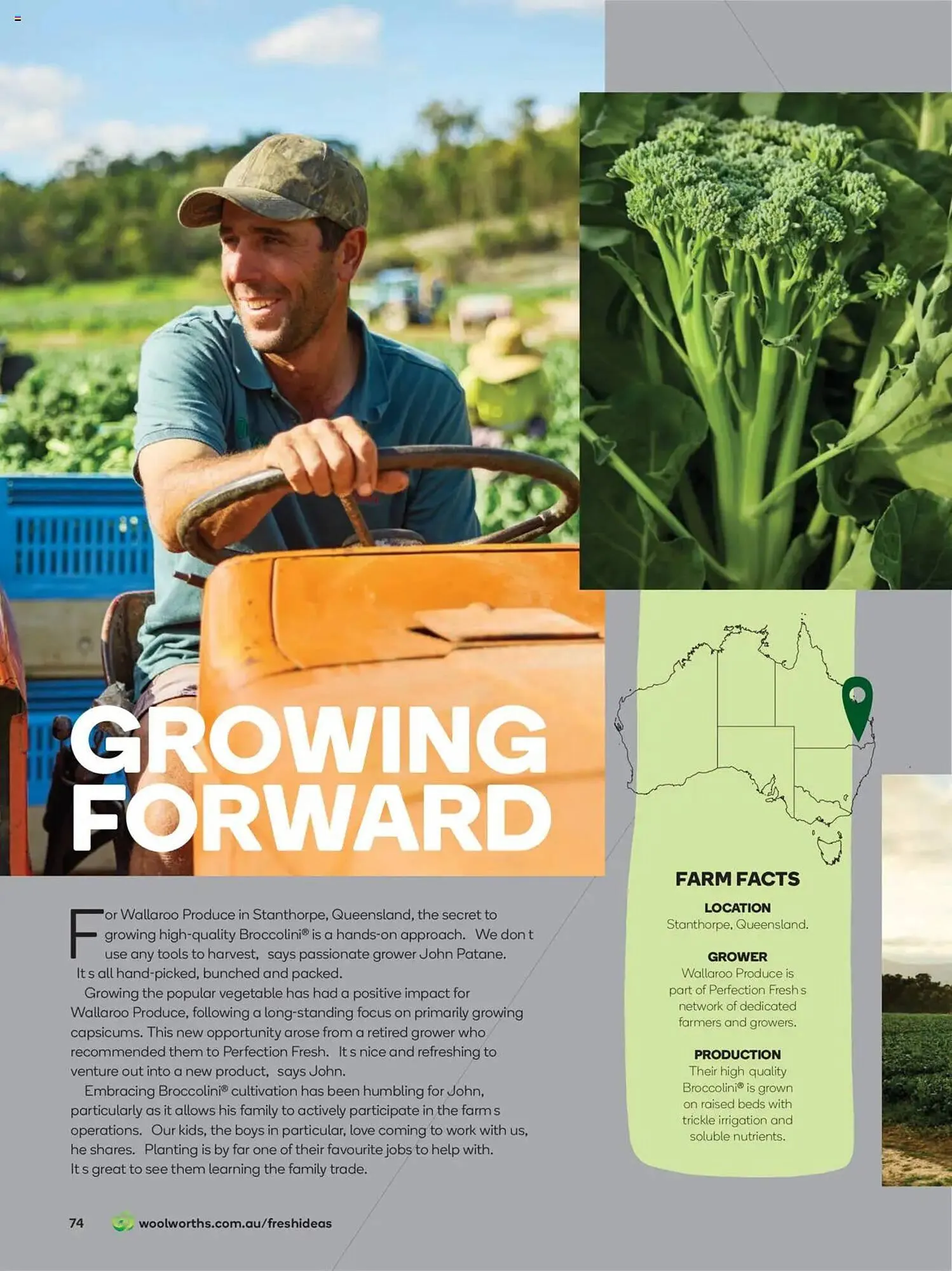 Woolworths catalogue - Catalogue valid from 30 June to 31 July 2025 - page 74