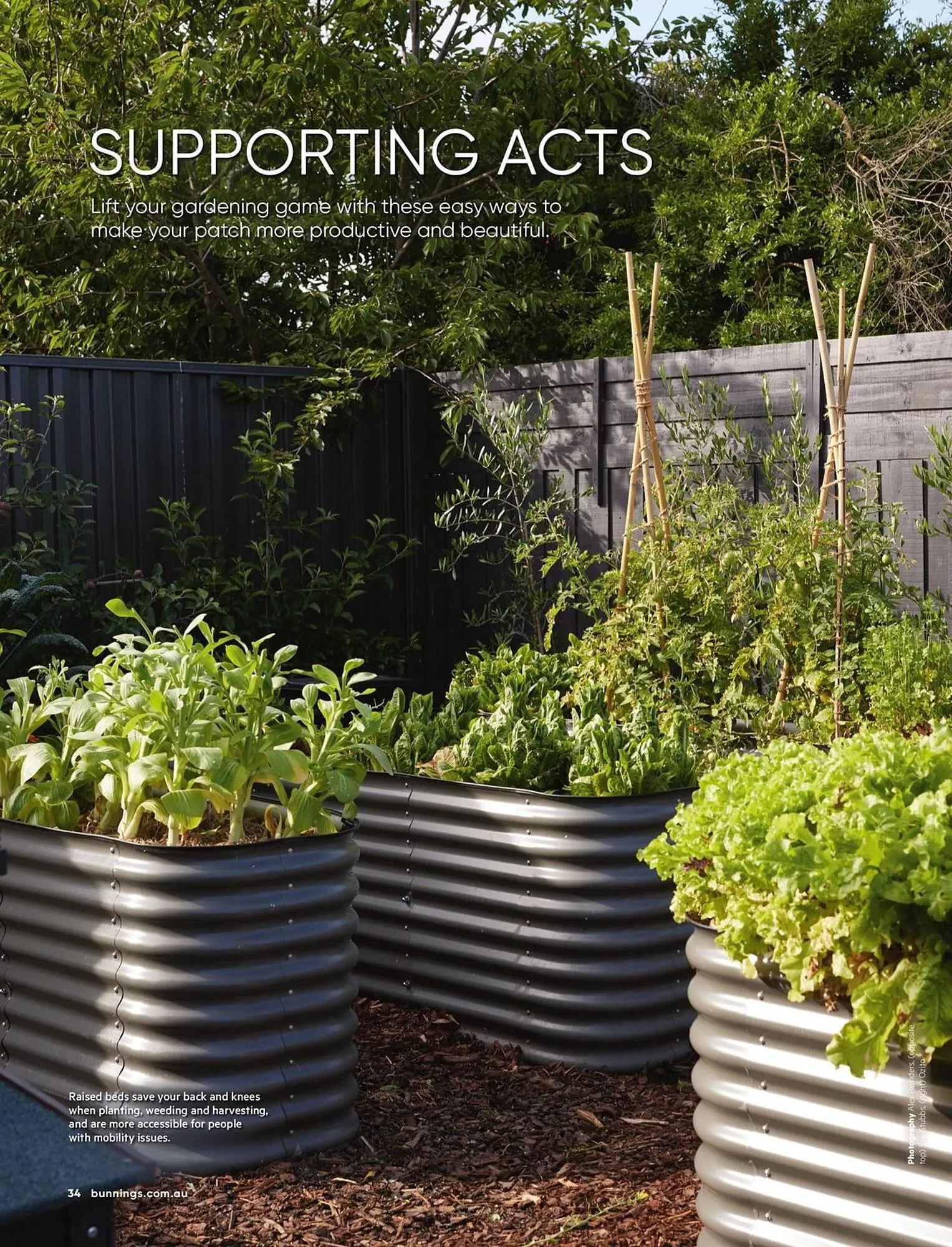 Bunnings catalogue - Catalogue valid from 1 April to 30 April 2026 - page 34