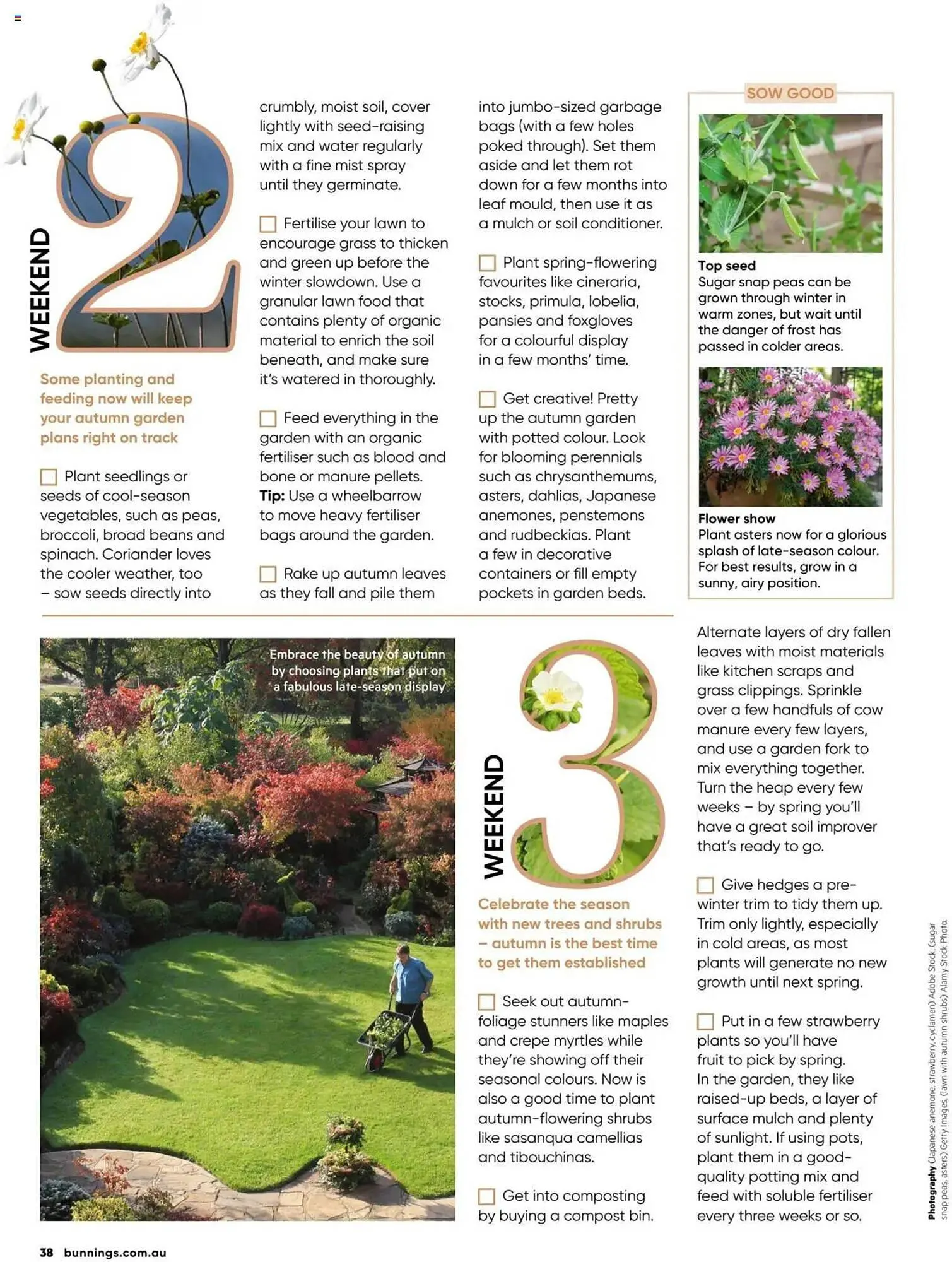 Bunnings catalogue - Catalogue valid from 1 March to 31 March 2025 - page 38