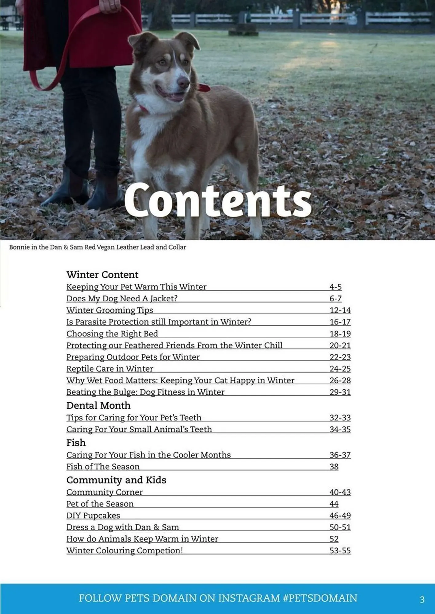 Pets Domain catalogue - Catalogue valid from 1 July to 30 September 2025 - page 3