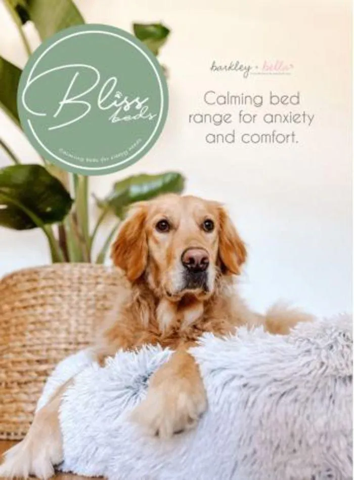 Dog Catalogue 2024 - Catalogue valid from 4 January to 28 February 2025 - page 4