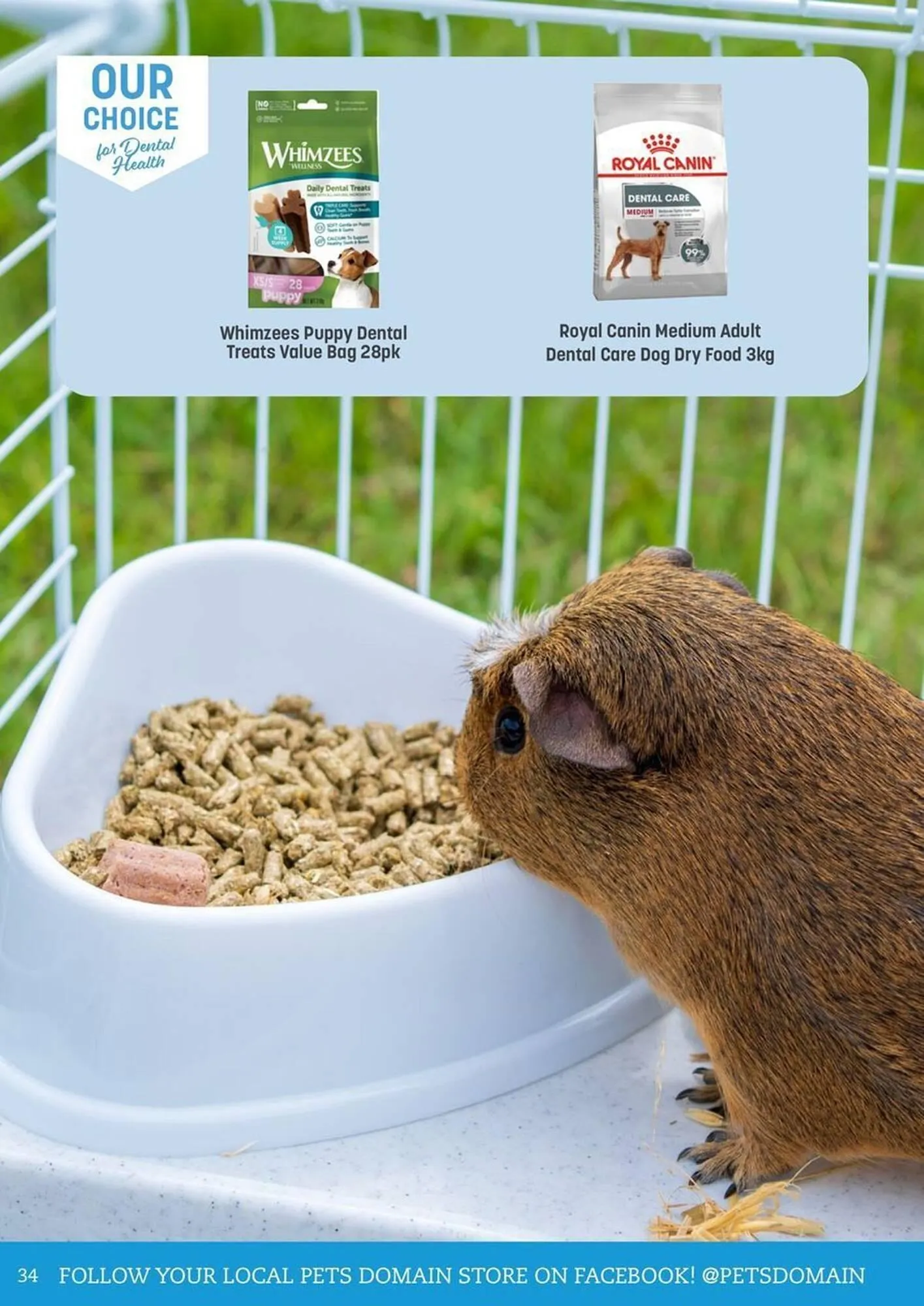 Pets Domain catalogue - Catalogue valid from 1 July to 30 September 2025 - page 34