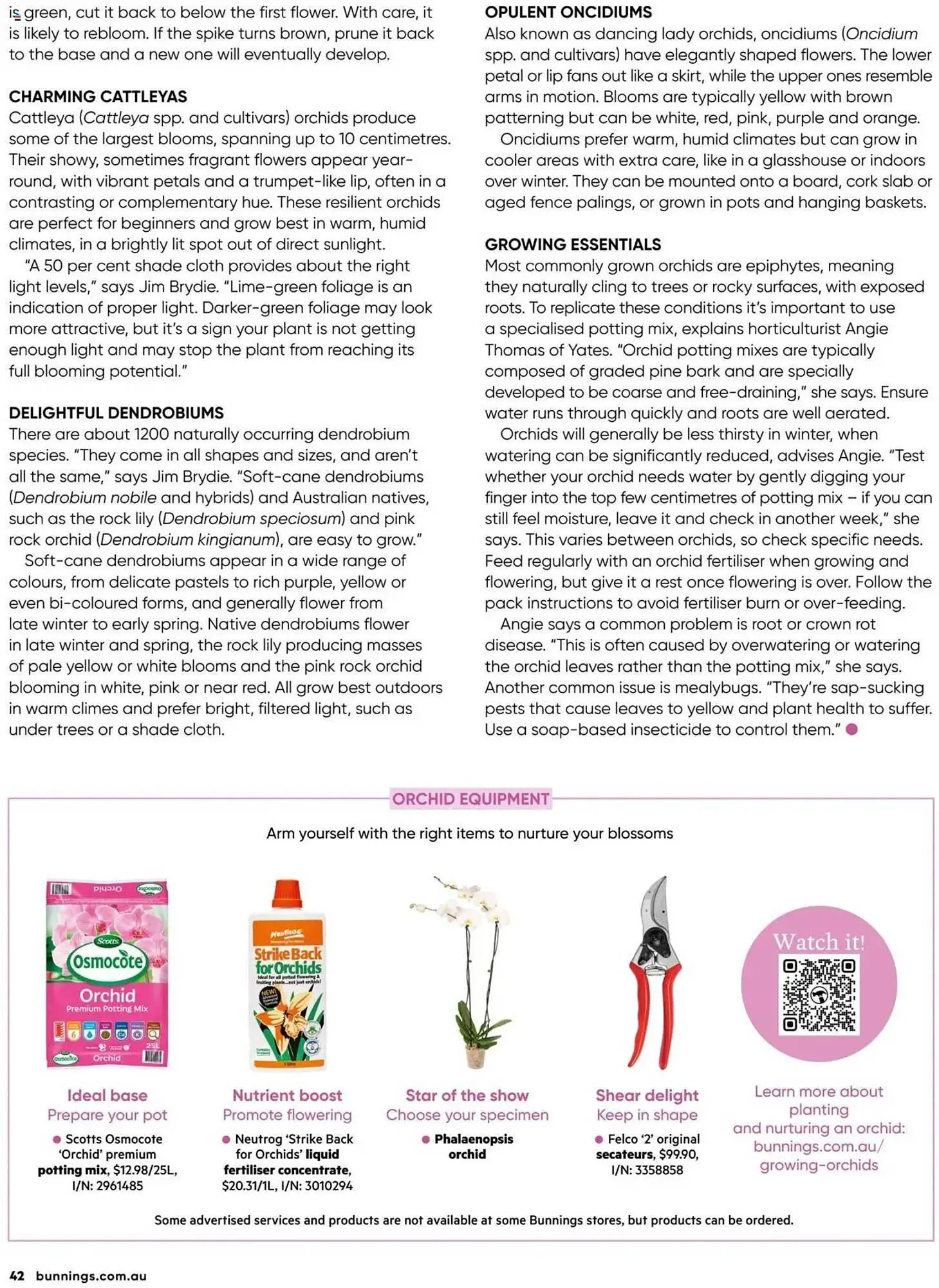 Bunnings catalogue - Catalogue valid from 1 March to 31 March 2025 - page 42