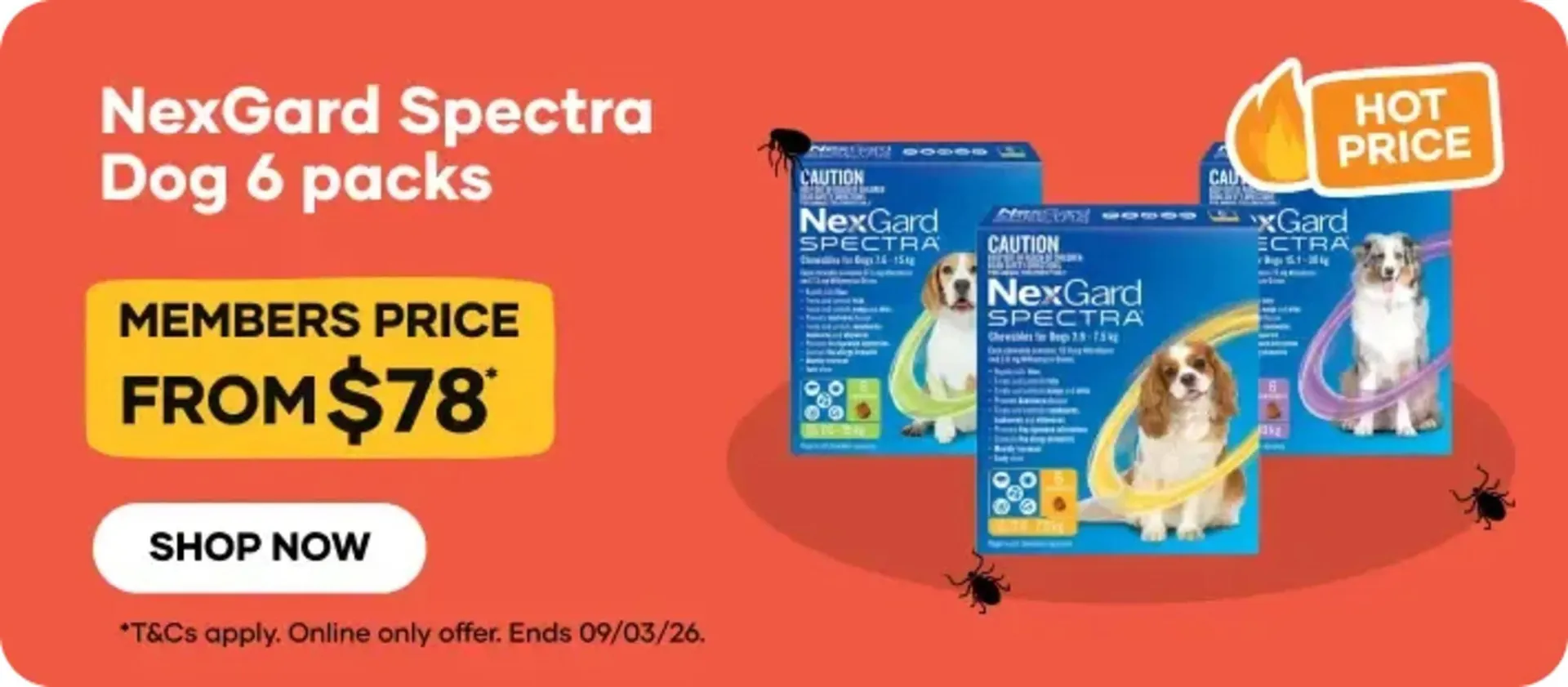 Petbarn catalogue - Catalogue valid from 4 March to 9 March 2026 - page 1