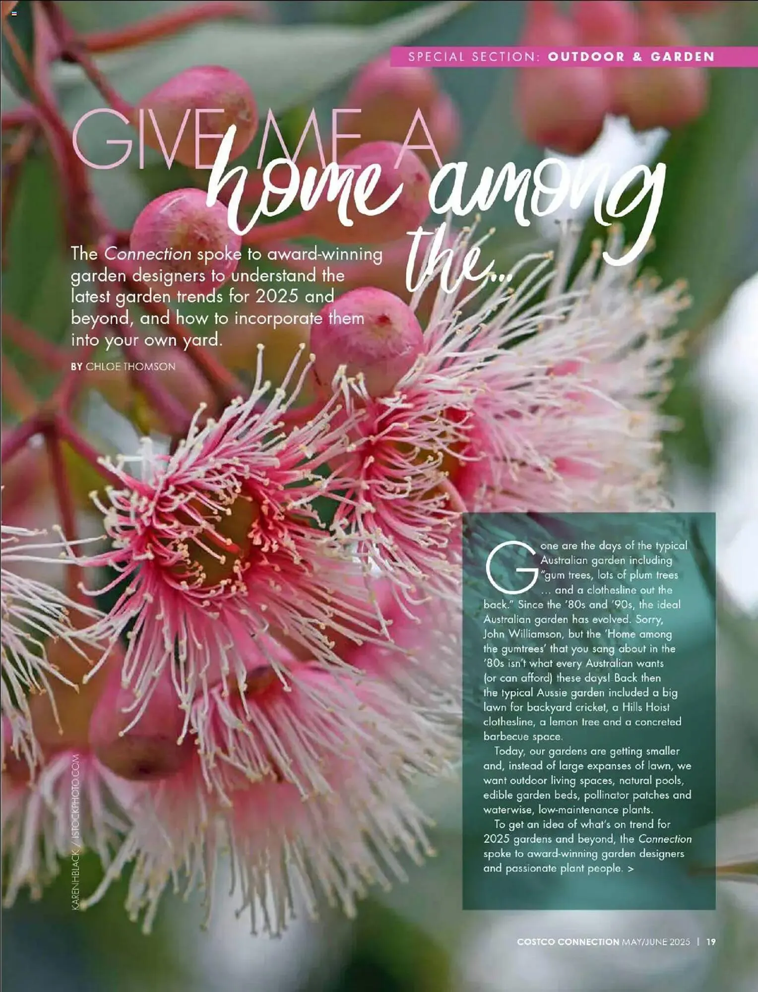 Costco catalogue - Catalogue valid from 1 May to 30 June 2025 - page 19