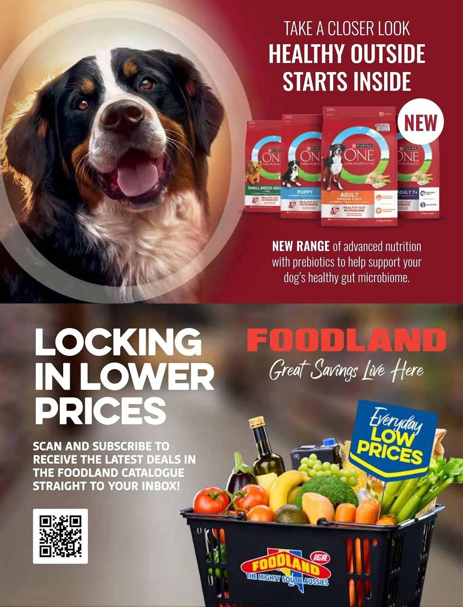 Foodland catalogue - Catalogue valid from 1 March to 30 September 2025 - page 59