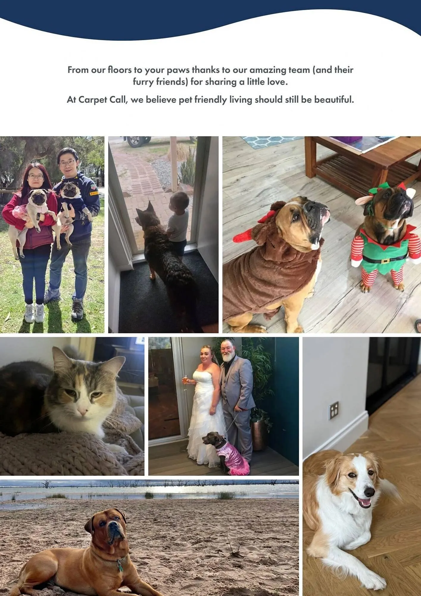 Carpet Call catalogue - Catalogue valid from 27 November to 31 December 2025 - page 14