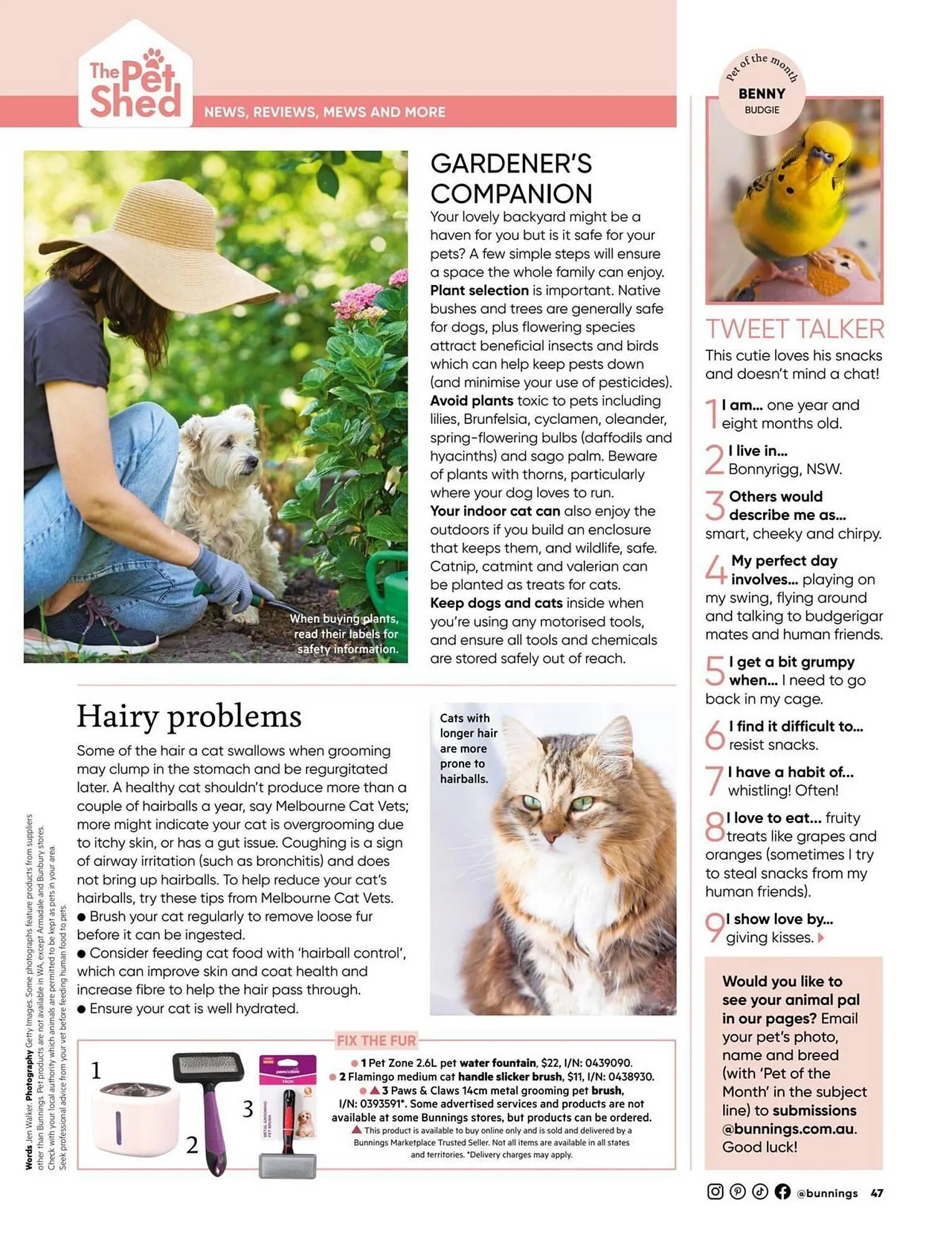 Bunnings catalogue - Catalogue valid from 1 August to 31 August 2025 - page 51