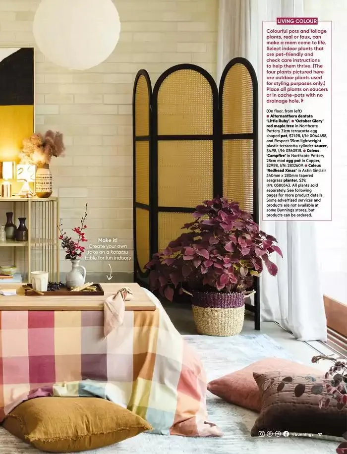 Bunnings Magazine March 2025 - Catalogue valid from 1 March to 31 March 2025 - page 17