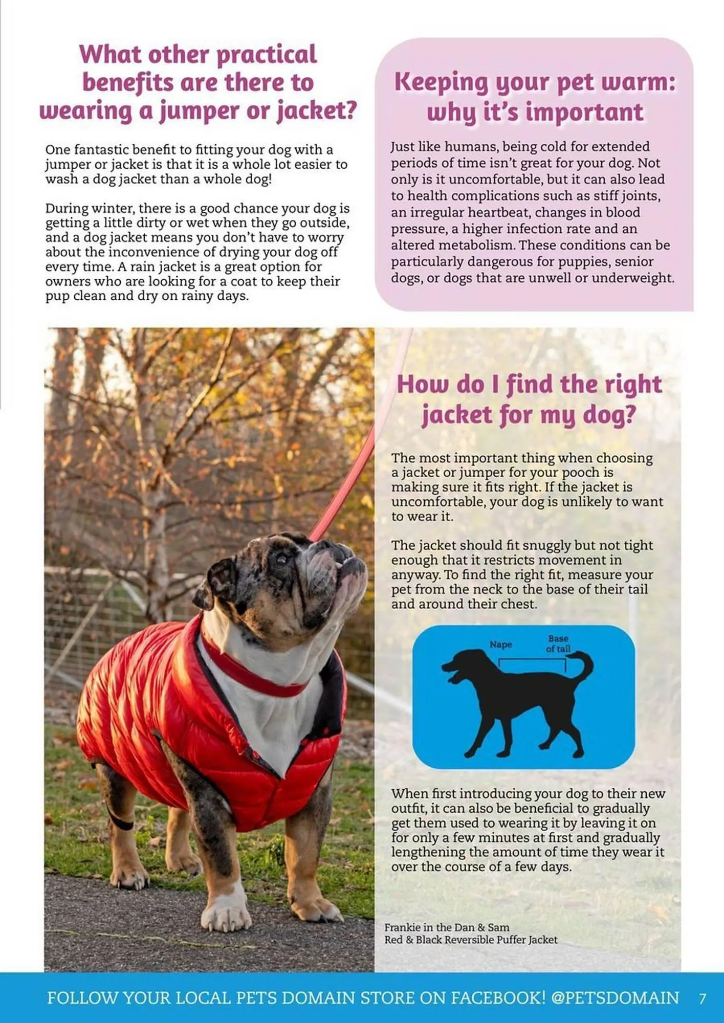 Pets Domain catalogue - Catalogue valid from 1 July to 30 September 2025 - page 7