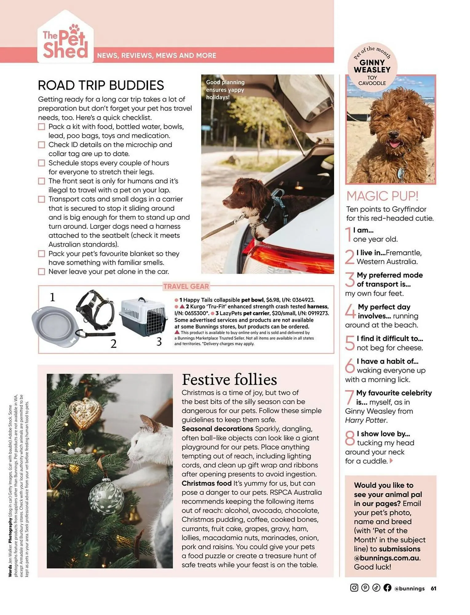 Bunnings catalogue - Catalogue valid from 1 December to 31 December 2025 - page 61