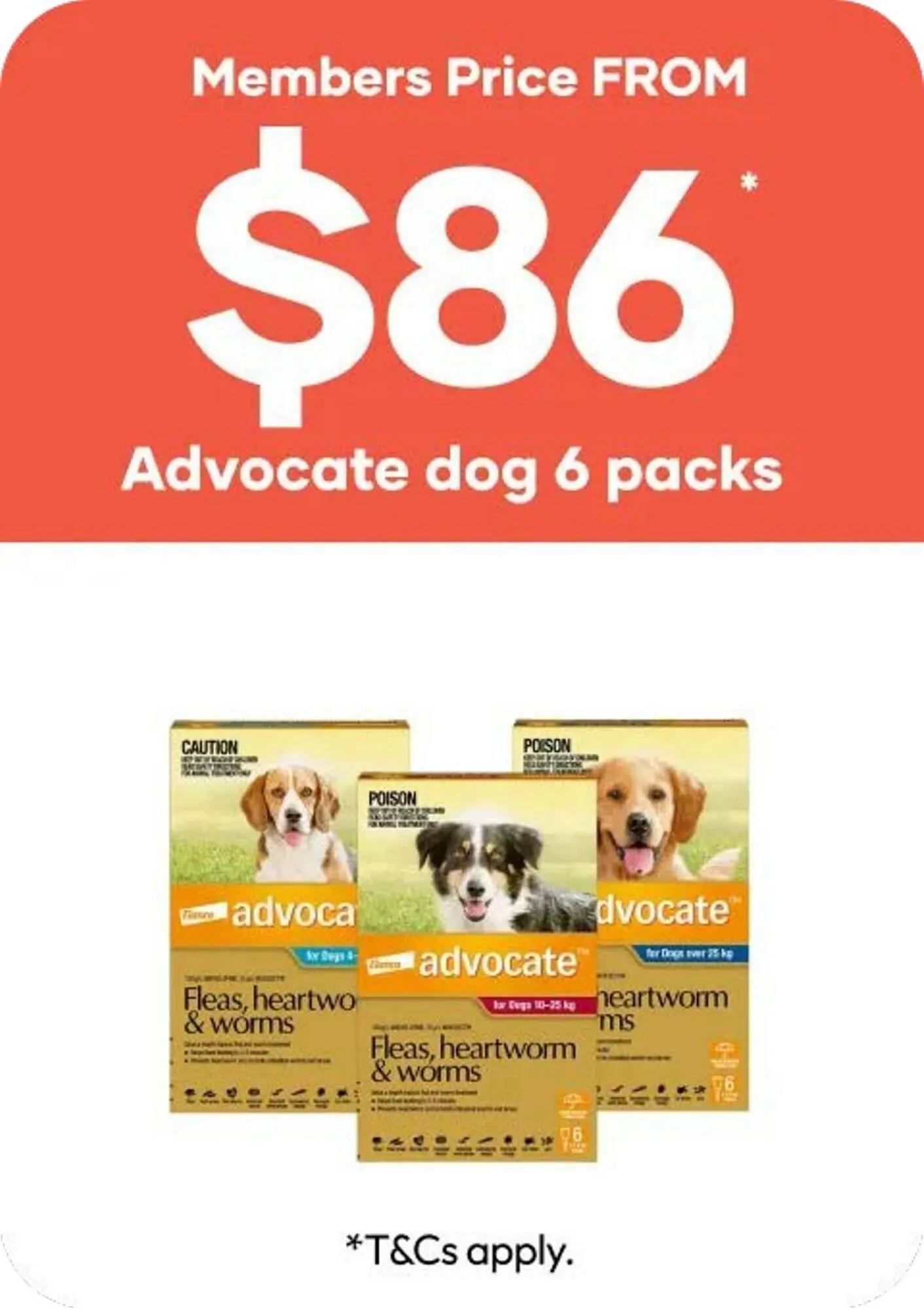 Petbarn catalogue - 1