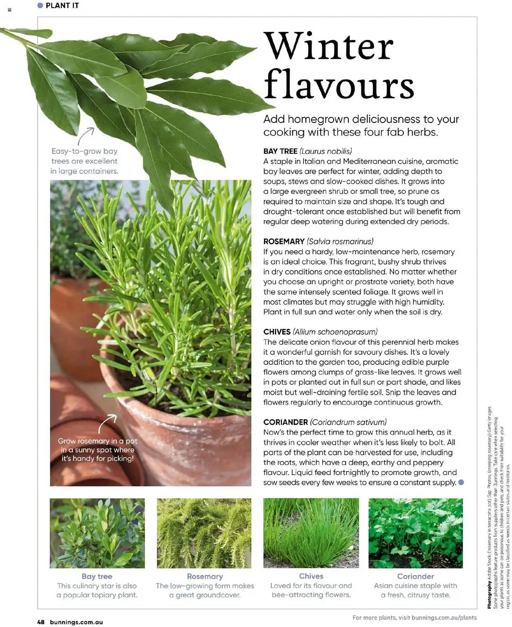 Bunnings catalogue - Catalogue valid from 1 May to 30 June 2025 - page 48