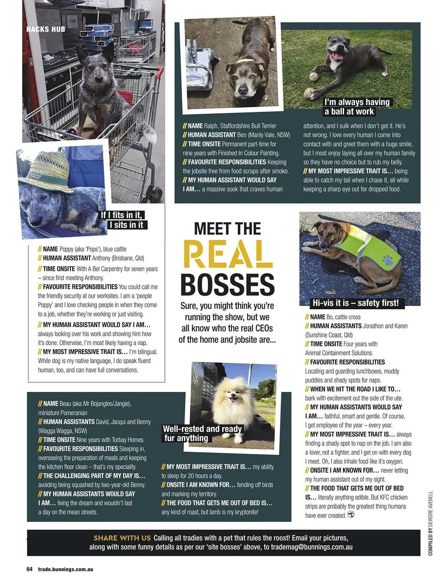 Bunnings catalogue - Catalogue valid from 1 May to 31 May 2025 - page 64