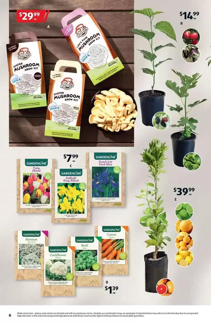 ALDI Special Buys - Catalogue valid from 2 April to 8 April 2025 - page 6