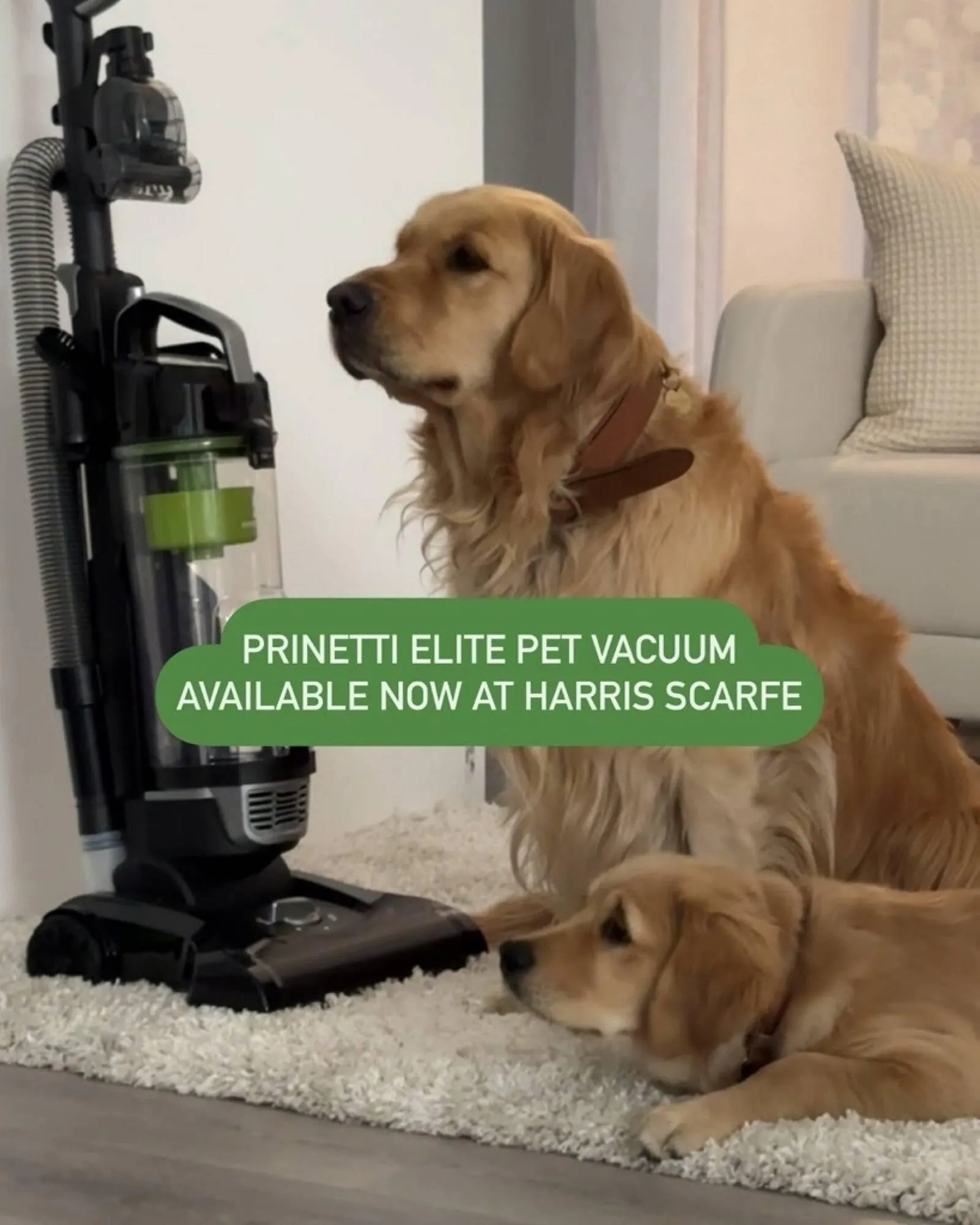 Harris Scarfe catalogue - Catalogue valid from 10 June to 16 June 2025 - page 4