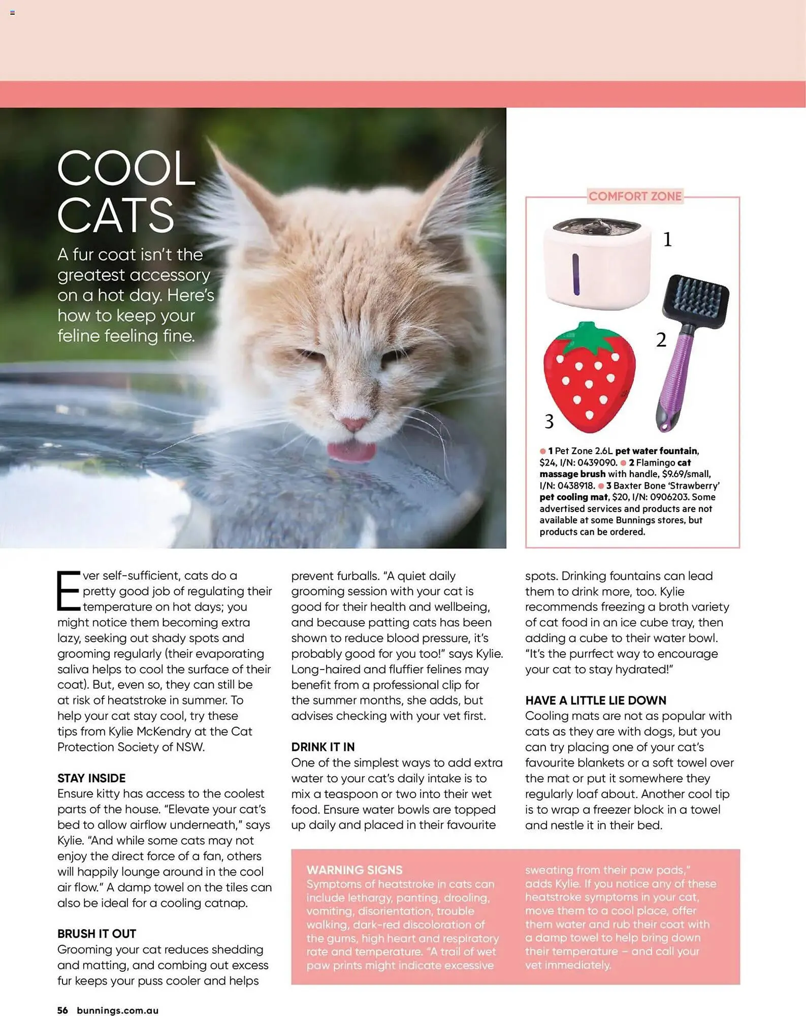 Bunnings catalogue - Catalogue valid from 31 January to 28 February 2026 - page 56