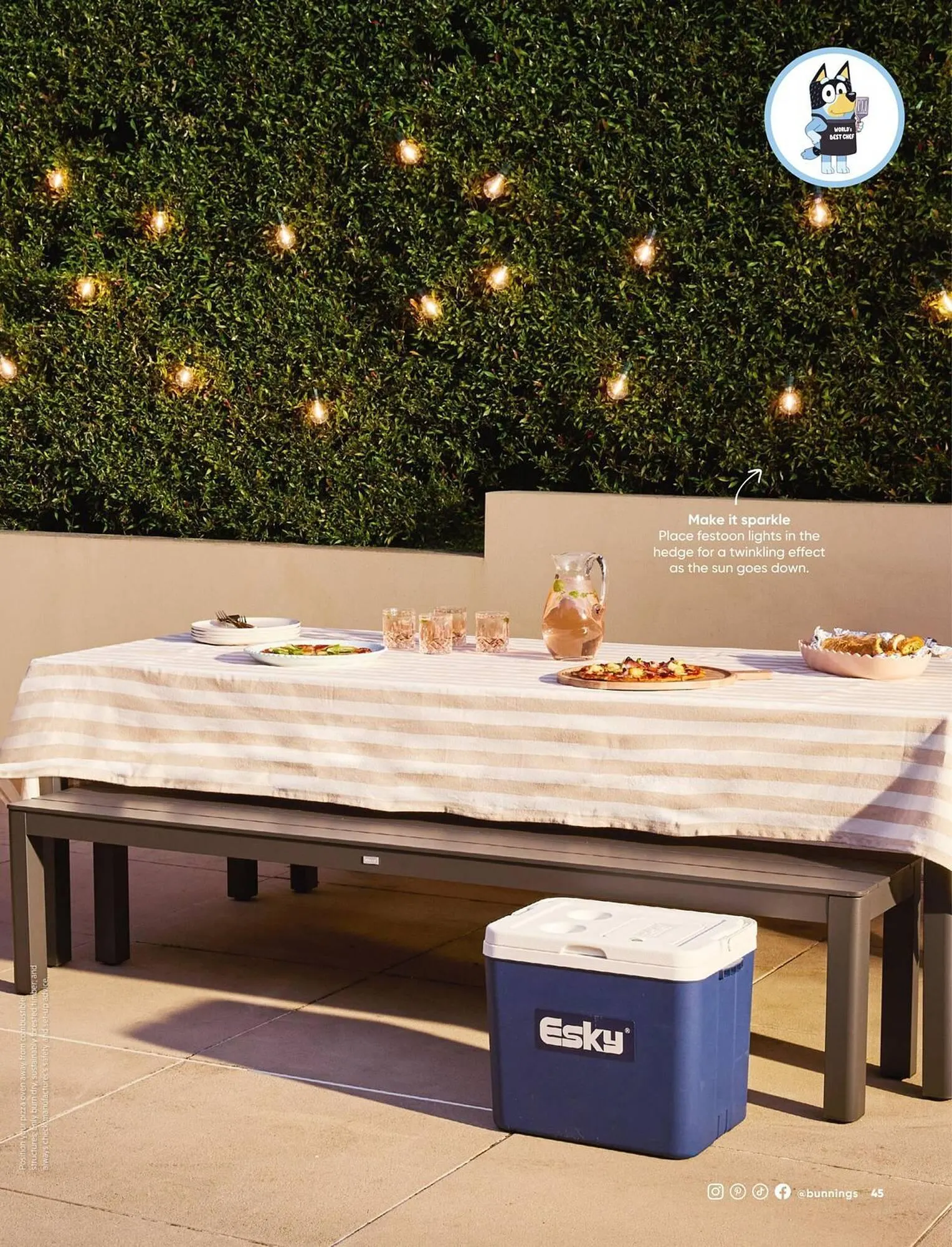 Bunnings catalogue - Catalogue valid from 1 August to 31 August 2025 - page 49