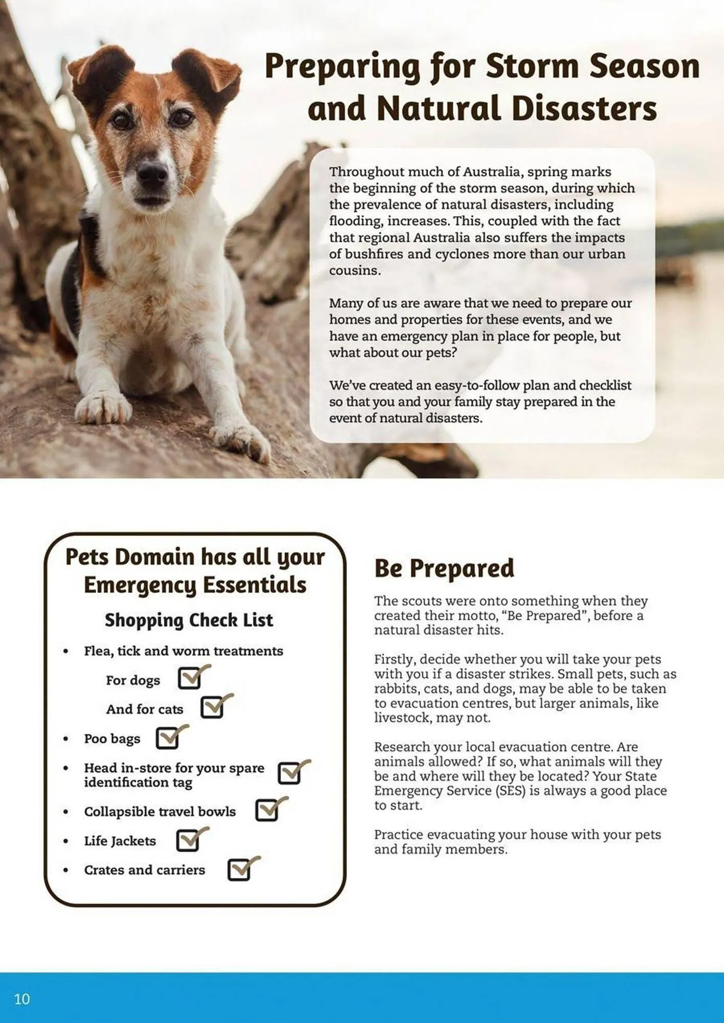 Pets Domain catalogue - Catalogue valid from 2 October to 31 December 2025 - page 10