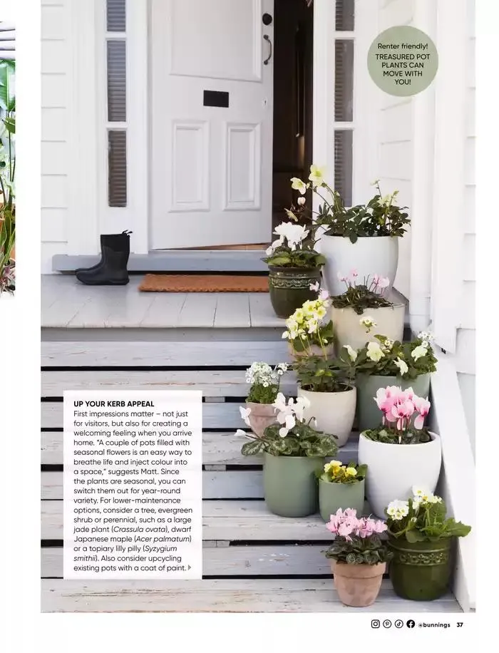 January 2025 - Catalogue valid from 1 January to 31 January 2025 - page 30